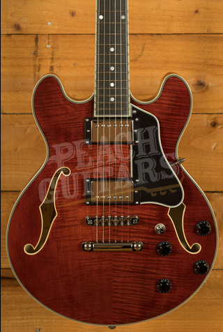 Eastman Electric Thinline - Truetone Gloss | T484 - Classic