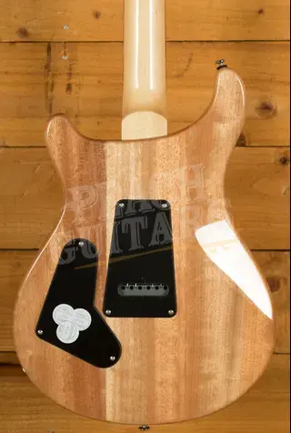 PRS SE Custom | Custom 24 - Trampas Green