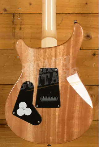 PRS SE Custom | Custom 24 - Trampas Green