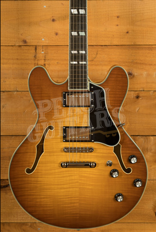 Eastman Truetone Gloss Thinline Series | T486-GB - Goldburst 