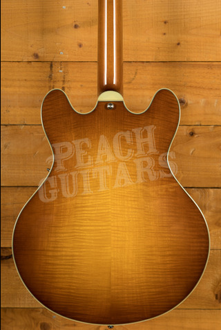 Eastman Truetone Gloss Thinline Series | T486-GB - Goldburst 