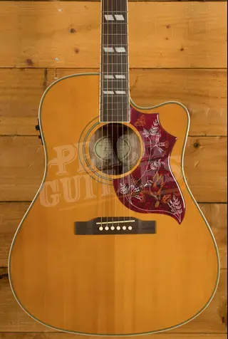 Epiphone Hummingbird Studio EC | Natural