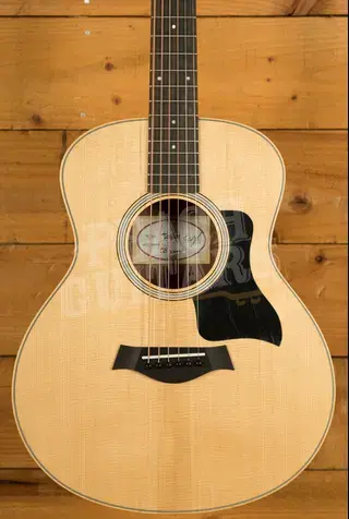 Taylor GS Mini Series | GS Mini Sapele