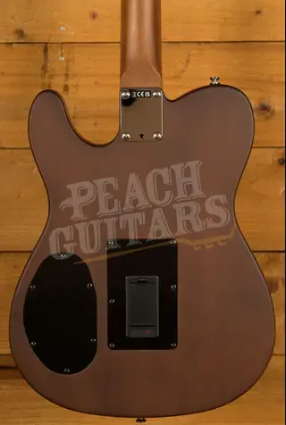 Fender Acoustasonic Standard Telecaster - Rosewood - Honey Burst