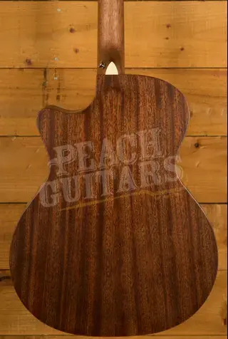 Martin Custom & Special Editions | GPC-10E Special