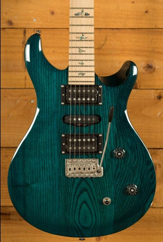 PRS SE Specialty | Swamp Ash Special - Iri Blue