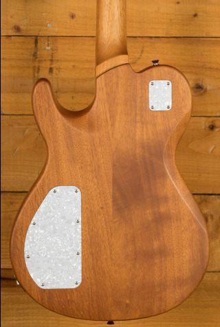 James Tyler Guitars JTG | M1 - Egyptian Gold