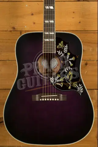 Gibson Hummingbird Standard Purple Burst