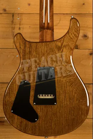 PRS Special Semi Hollow Black Gold 