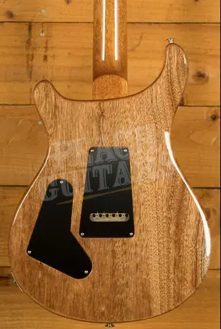 PRS Custom 24-08 - Aurora Borealis