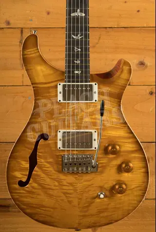 PRS DGT Semi Hollow - McCarty Sunburst Birds