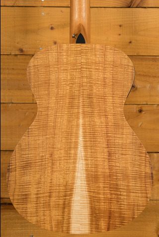 Taylor Academy Series | Academy 12e-N LTD