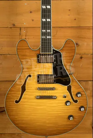 Eastman T486 - Goldburst