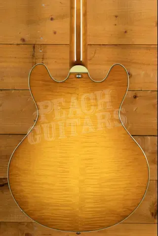 Eastman T486 - Goldburst