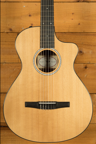 Taylor 200 Plus Series | 212ce-N Plus