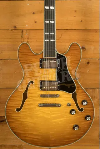 Eastman T486 - Goldburst