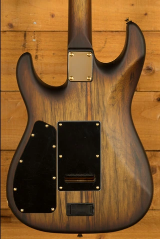 James Tyler Guitars | Studio Elite Black Limba Hollowbody - Brown Burst