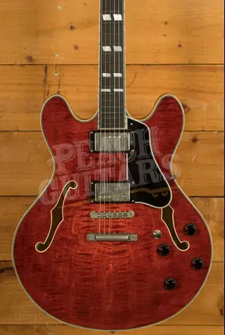 Eastman T59/TV | Vintage Classic