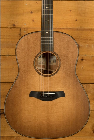 Taylor 500 Series | Builder's Edition 517 - Wild Honey Burst 
