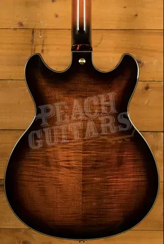 Ibanez ASH300 Artstar Series Hollow Body - Macassar Ebony - Tobacco Brown
