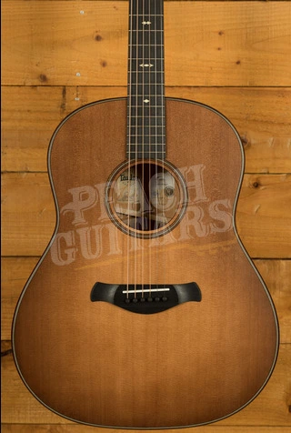 Taylor 500 Series | Builder's Edition 517 - Wild Honey Burst 