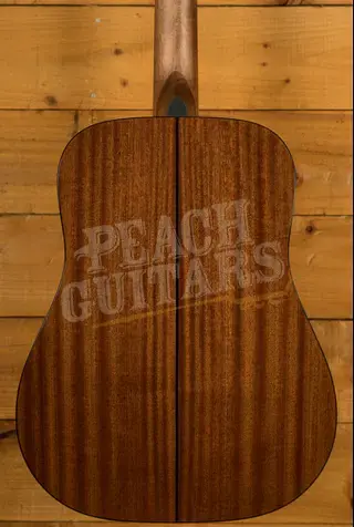 Sigma 1 Series | DM12-1 - Natural - 12-String