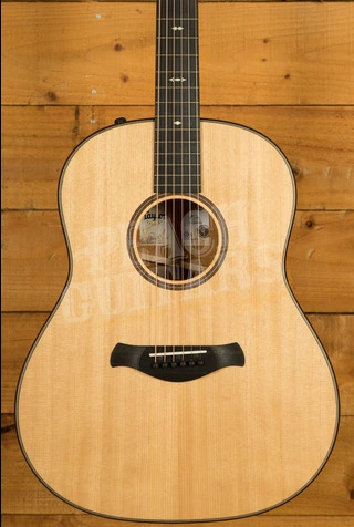 Taylor 500 Series | Builder's Edition 517e - Natural
