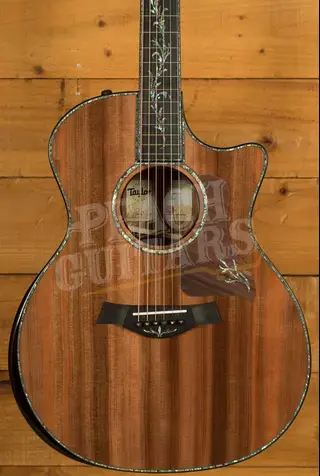 Taylor Presentation Series | PS14ce Honduran Rosewood & Sinker Redwood