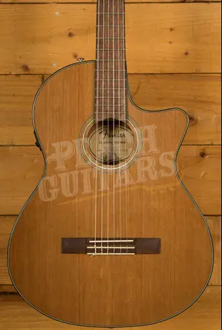 Fender CN-140SCE Nylon Thinline w/Hard Case - Natural