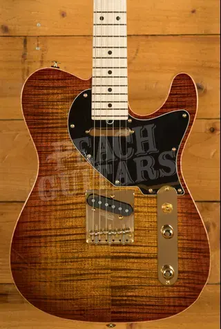 Suhr Andre Nieri Signature Classic T - Nieri Burst