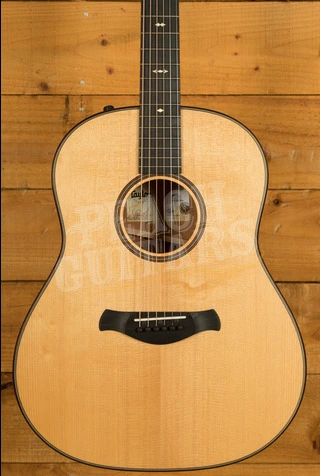Taylor 500 Series | Builder's Edition 517e - Natural