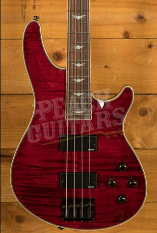 Schecter Bass Omen Extreme-4 | Black Cherry