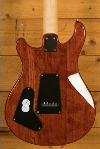 PRS SE Specialty | Swamp Ash Special - Vintage Sunburst