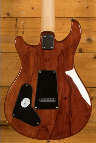 PRS SE Specialty | Swamp Ash Special - Vintage Sunburst