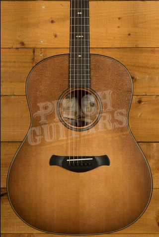 Taylor 500 Series | Builder's Edition 517 - Wild Honey Burst 