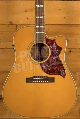 Epiphone Hummingbird Standard EC | Natural
