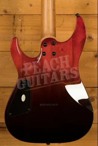 Schecter C-1 Standard | Bloodburst