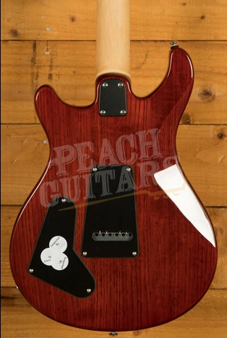 PRS SE Specialty | Swamp Ash Special - Vintage Sunburst