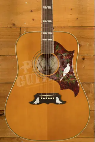 Epiphone Dove Studio | Natural