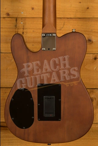 Fender Acoustasonic Standard Telecaster - Rosewood - Honey Burst