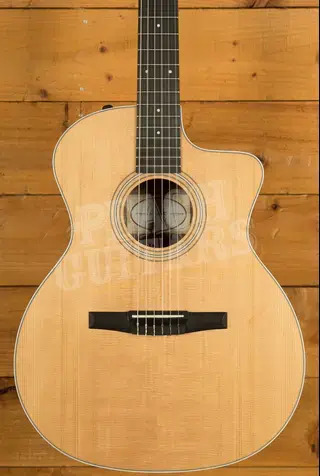 Taylor 200 Series | 214ce-N - Nylon