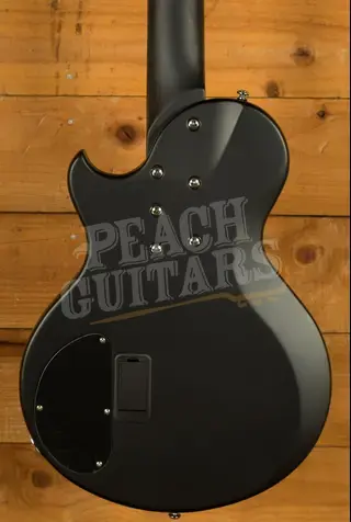 Schecter Bass dUg Pinnick DP-12 | 12-String - Satin Black