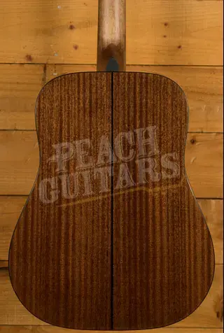 Sigma 1 Series | DM12-1 - Natural - 12-String