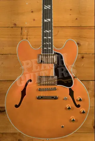 Epiphone Futura ES-355 | Firestorm Shift