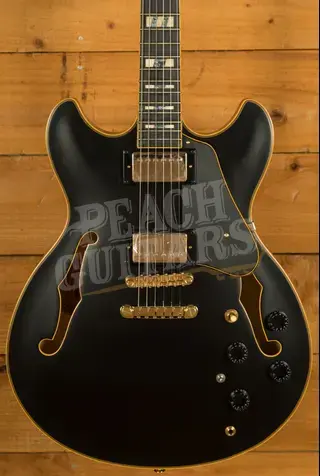 Ibanez Signature Models | JSM20 - John Scofield - Black Low Gloss