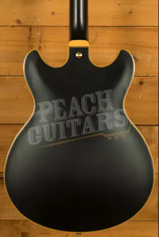 Ibanez Signature Models | JSM20 - John Scofield - Black Low Gloss