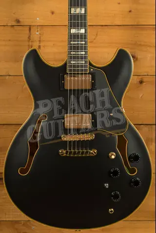 Ibanez JSM20 John Scofield Hollow Body - Ebony - Black Low Gloss