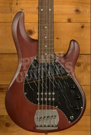 Sterling RAY5 SUB Series StingRay 5 Bass - Walnut Satin
