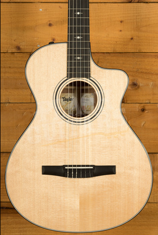 Taylor 300 Series | 312ce-N - Nylon