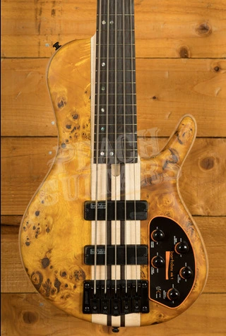Cort Artisan A5 Plus SC - Amber Open Pore